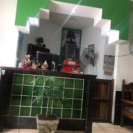 Green Monkey Hostel Flores Luaran gambar