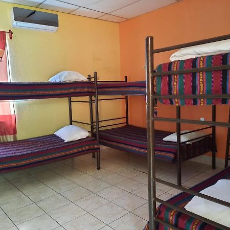 Green Monkey Hostel Flores Luaran gambar