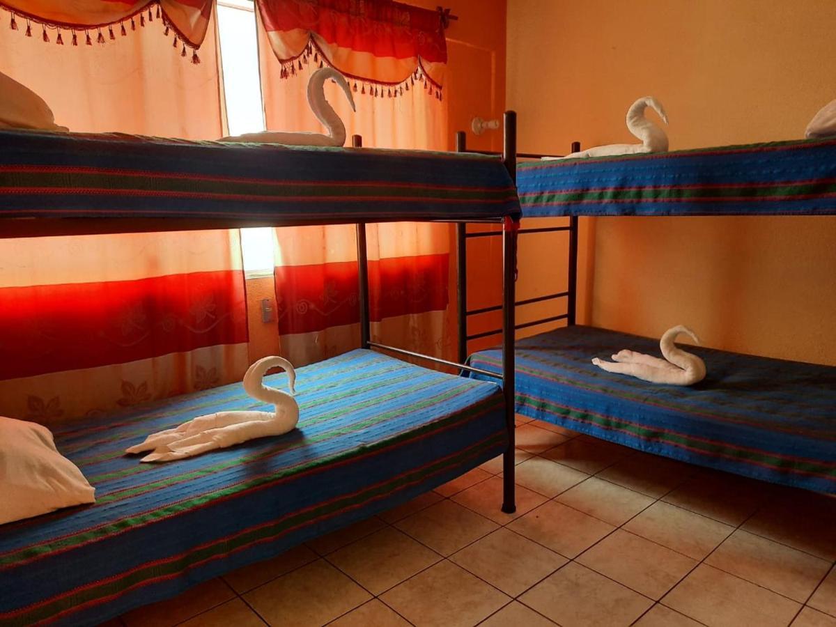 Green Monkey Hostel Flores Luaran gambar