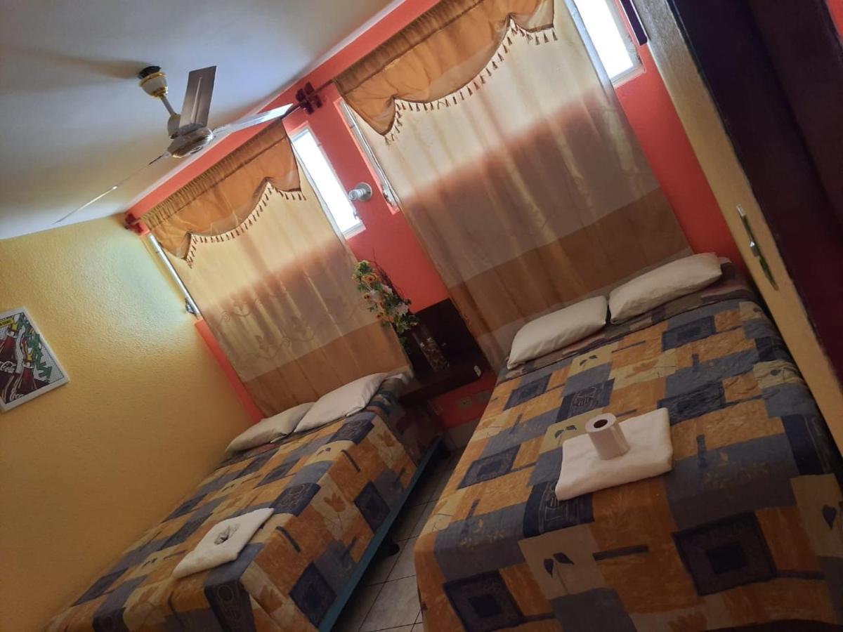 Green Monkey Hostel Flores Luaran gambar