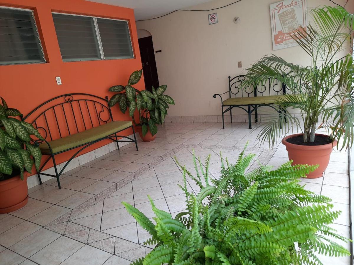 Green Monkey Hostel Flores Luaran gambar