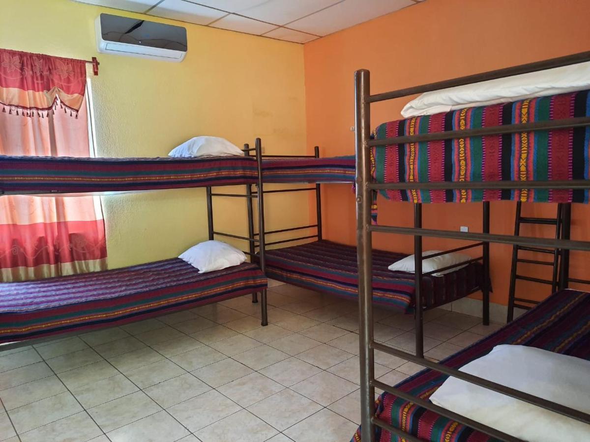 Green Monkey Hostel Flores Luaran gambar